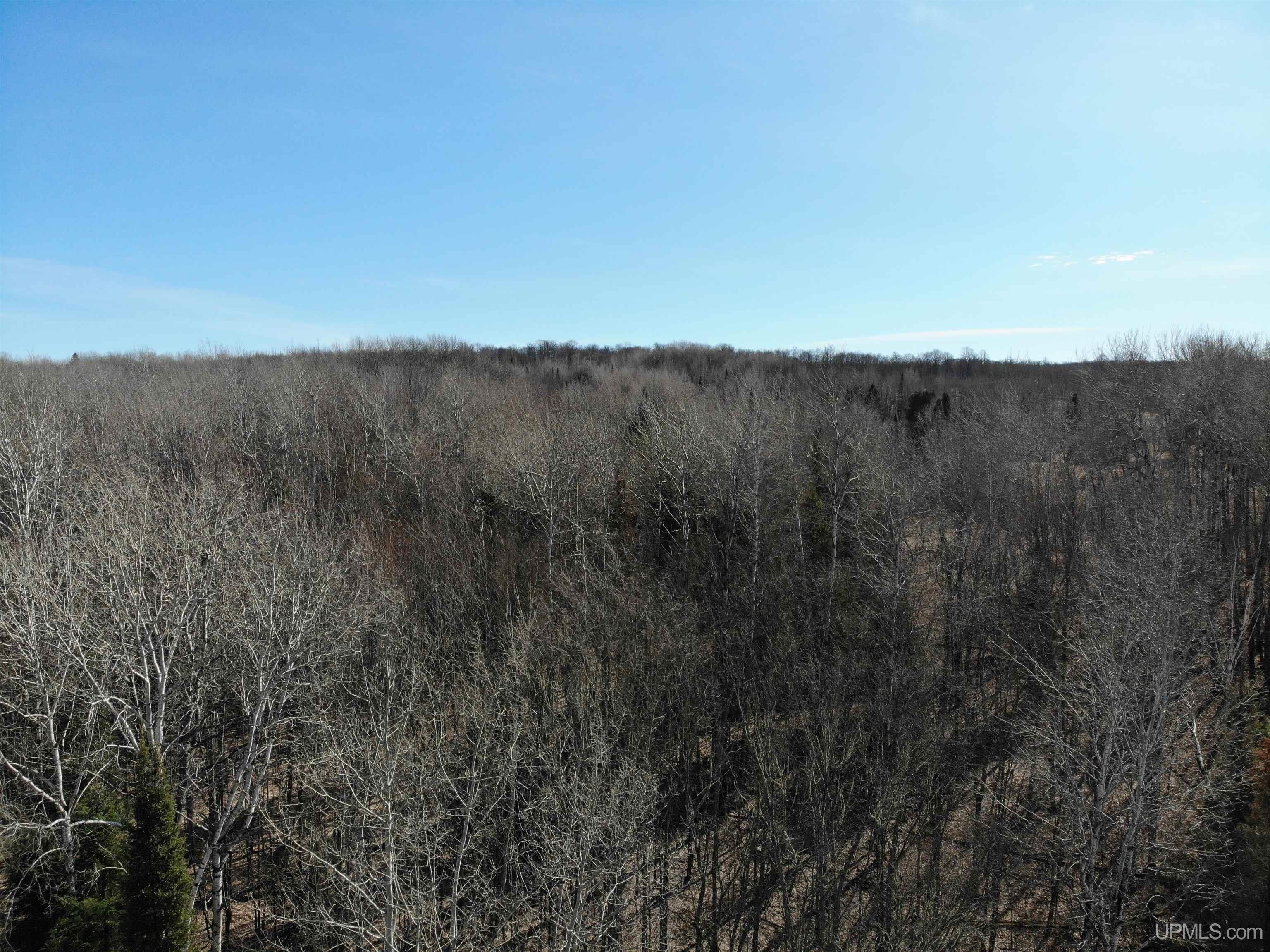 Tbd15 Tbd15 Borsch Road Sidnaw, MI 49961 - Photo 7 of 7