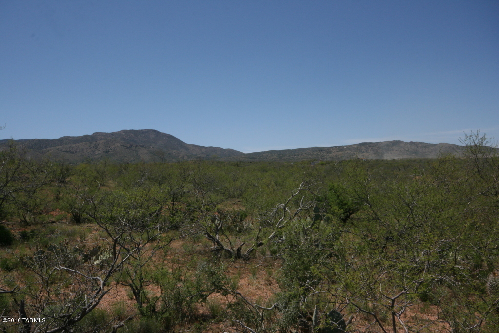 81483 East Goldbug Road Oracle, AZ 85623 - Photo 2 of 12