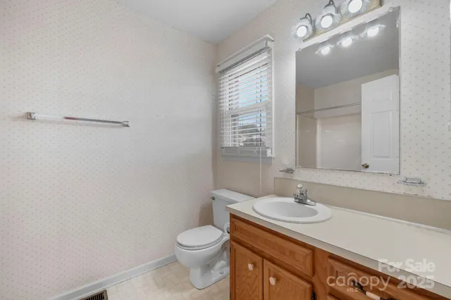 a bathroom with a sink toilet and vanity