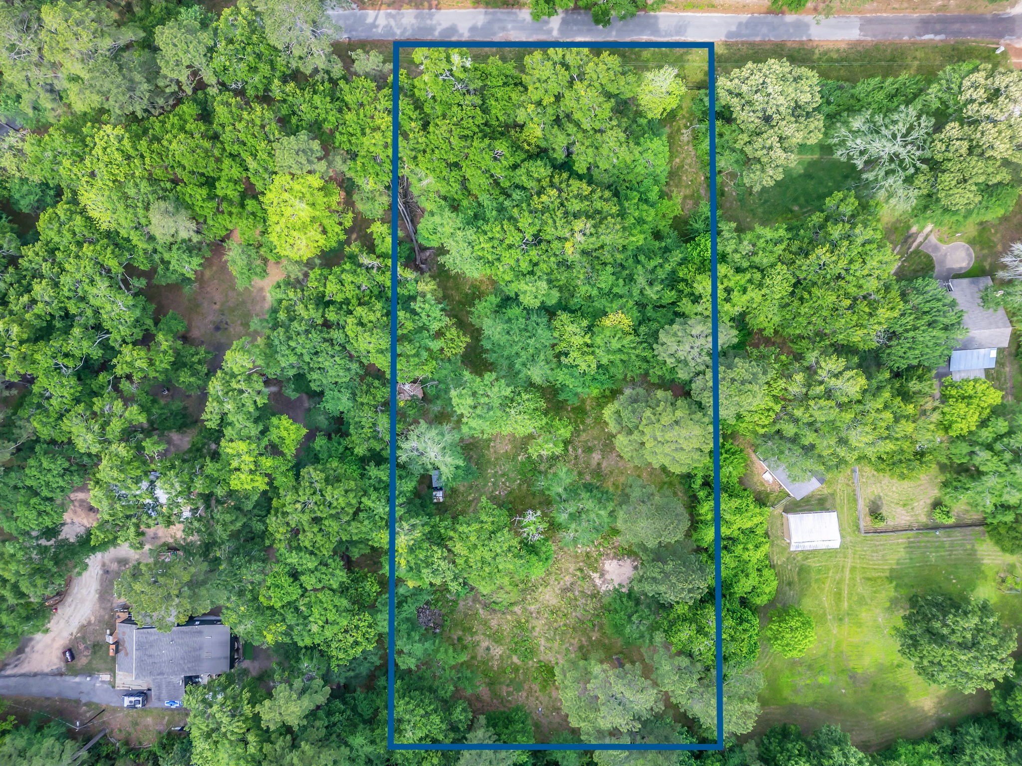 24466 Pine Creek Road Hockley, TX 77447 - Photo 2 of 16