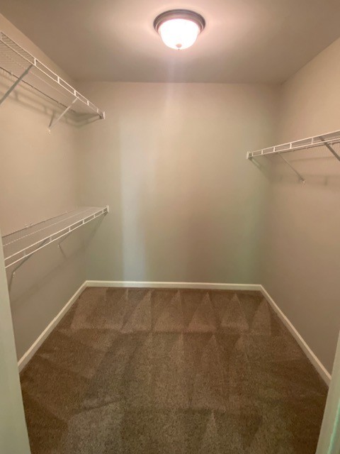 1076 Neeleys Bend East Spring Hill, TN 37174 - Photo 16 of 36