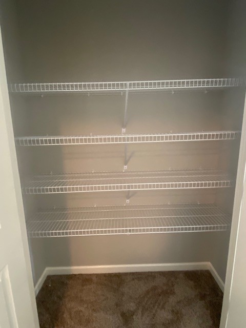 1076 Neeleys Bend East Spring Hill, TN 37174 - Photo 19 of 36