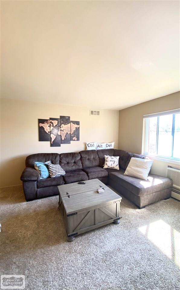 801 Plate Street, Unit # 203 Rochester, MI 48307 - Photo 2 of 13