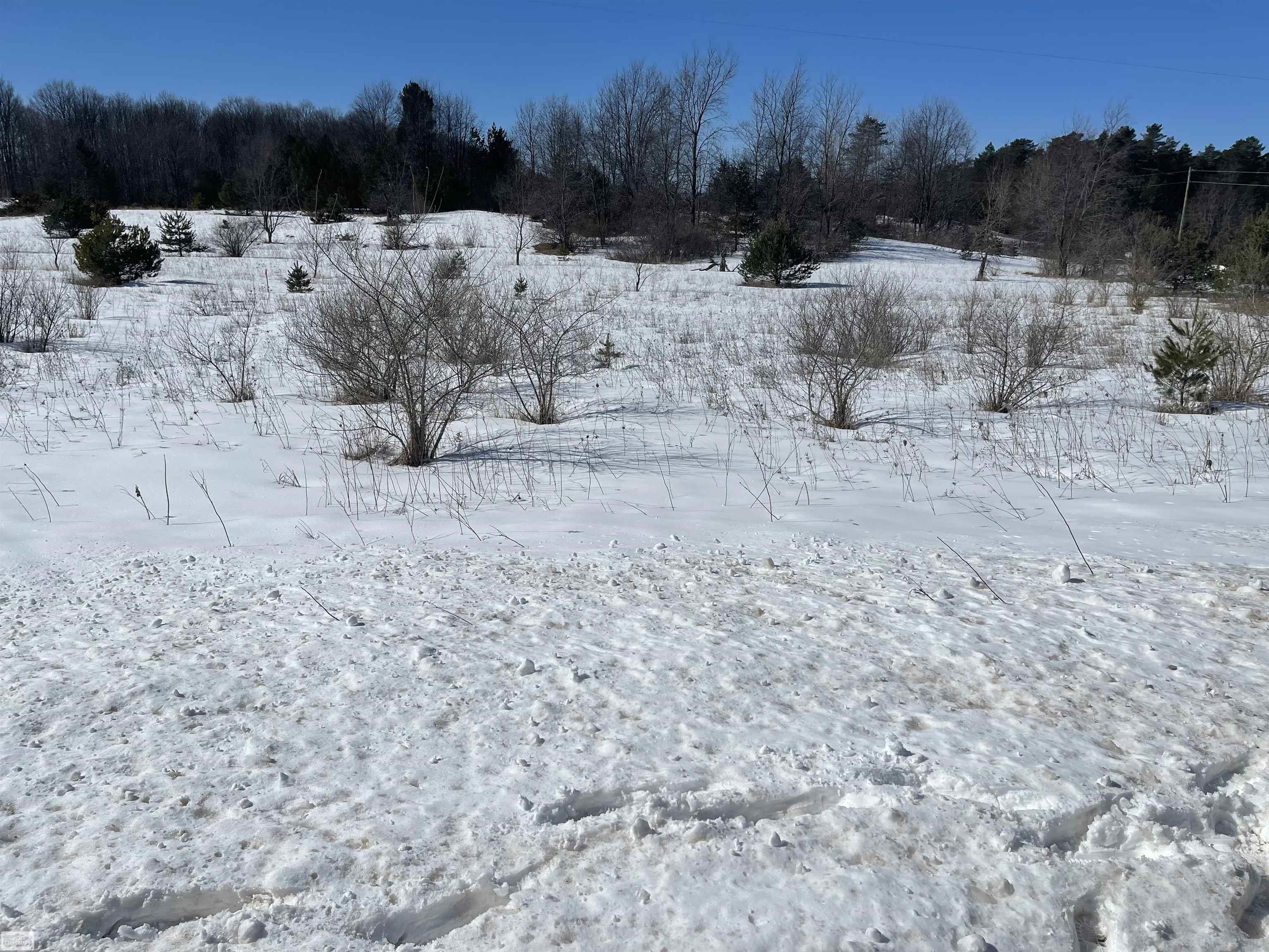 0 Aller Road Northeast Kalkaska, MI 49646 - Photo 1 of 2