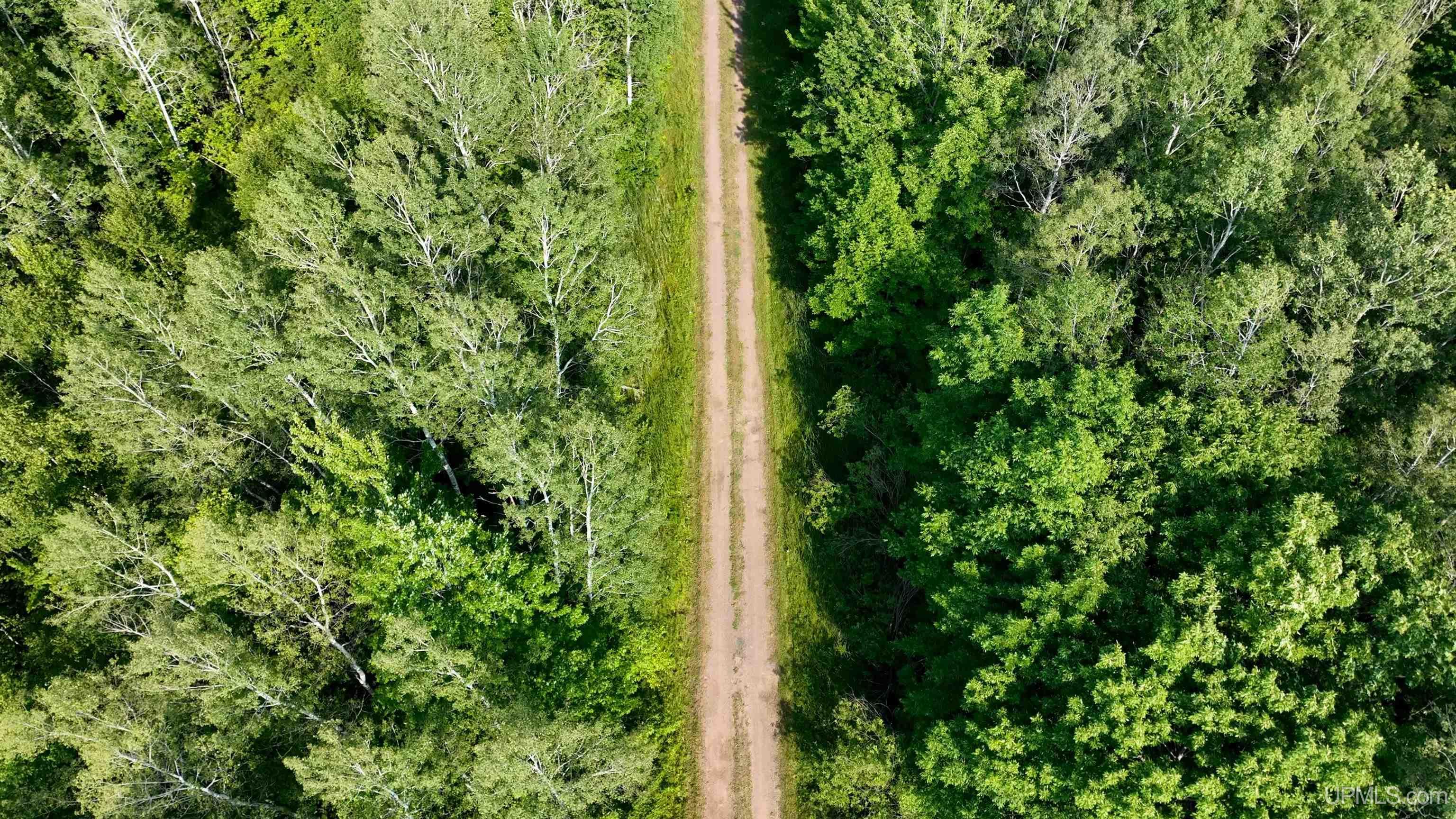 Tbd Curlew Road Ontonagon, MI 49953 - Photo 1 of 36