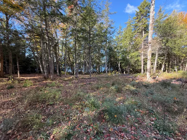 $150,000 | 2 East Shore Road, Wytopitlock, ME 04497