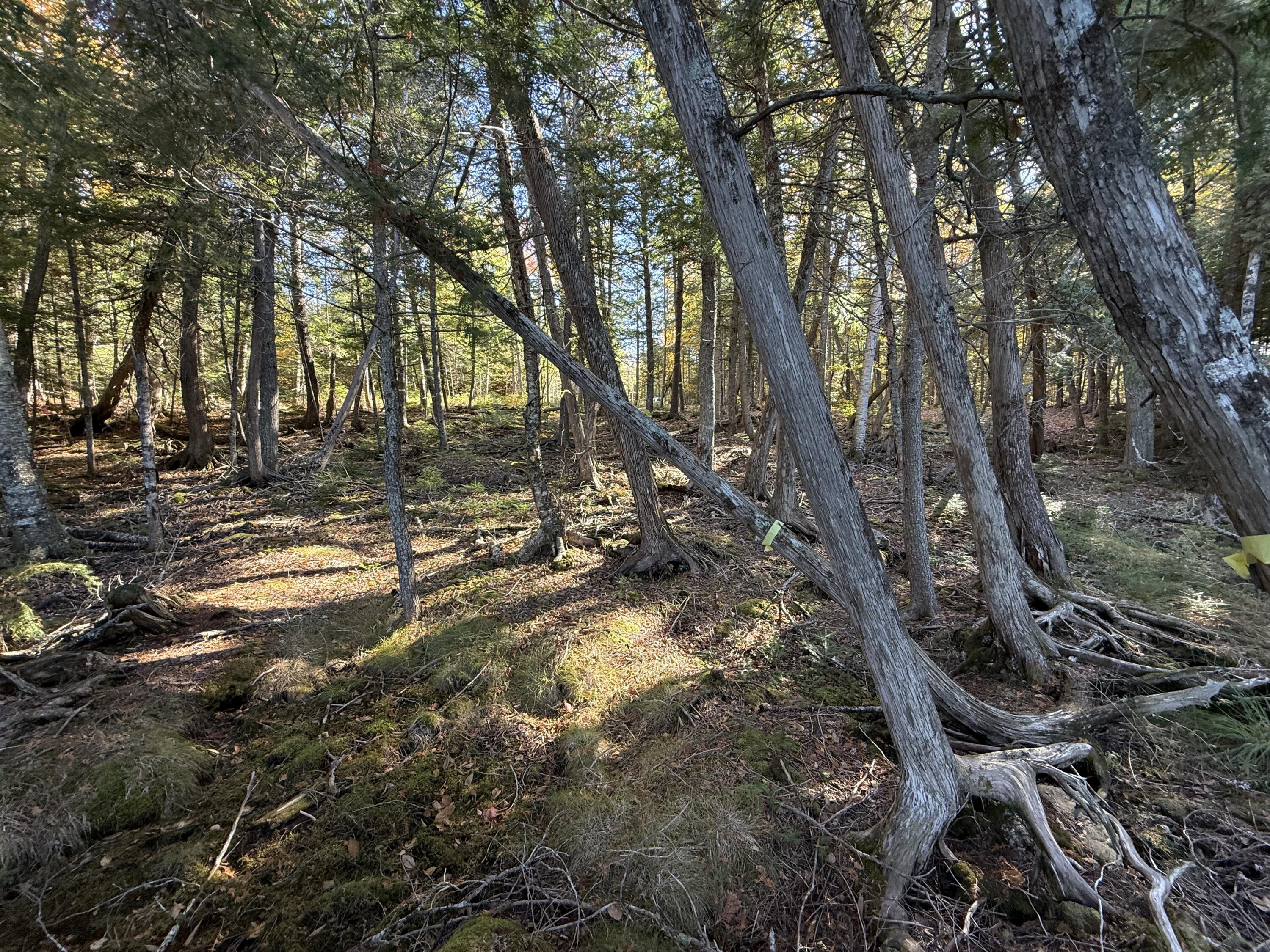 2 East Shore Road Wytopitlock, ME 04497 - Photo 15 of 16 IMG_8451