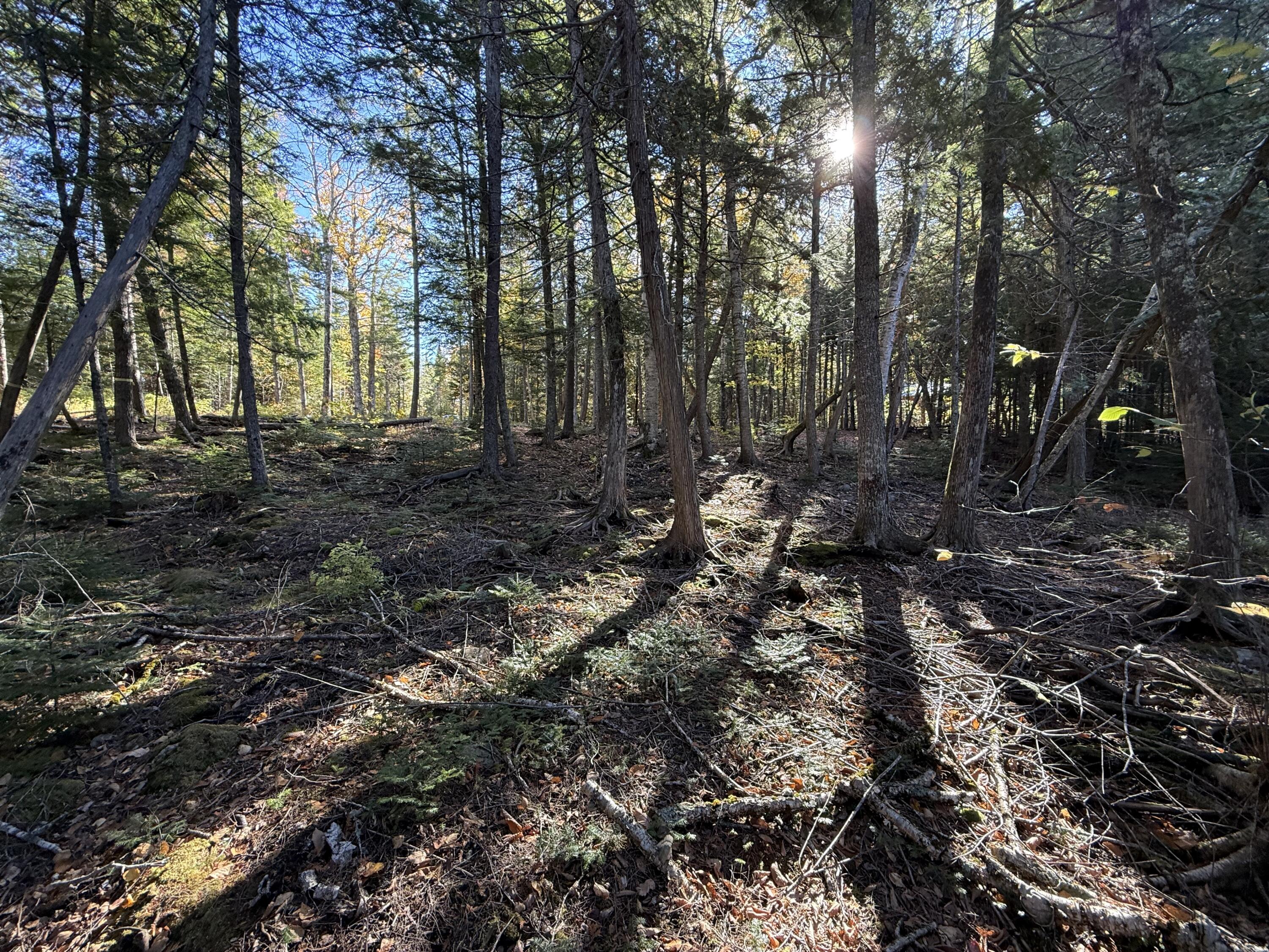 2 East Shore Road Wytopitlock, ME 04497 - Photo 3 of 16 IMG_8452