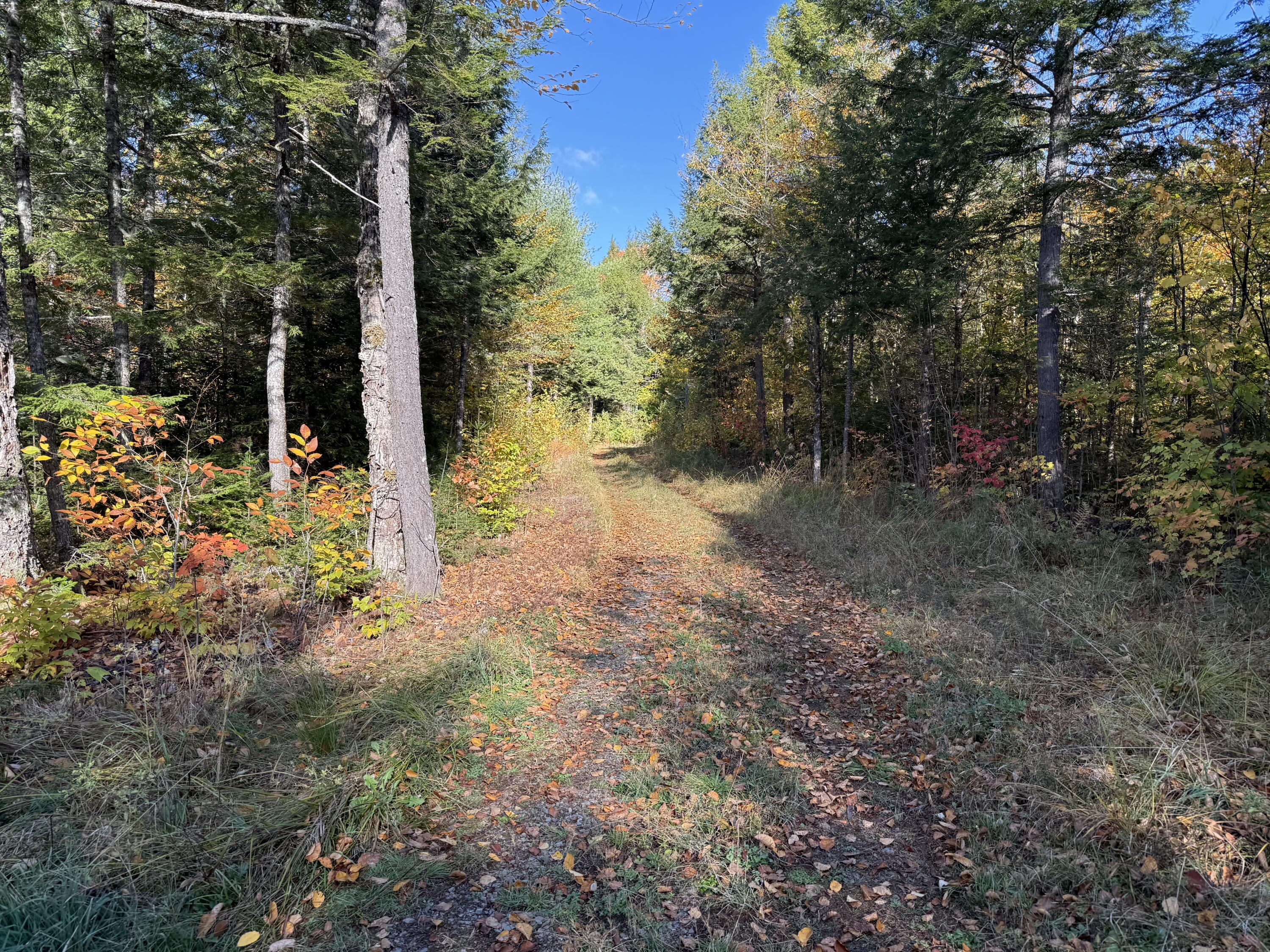 2 East Shore Road Wytopitlock, ME 04497 - Photo 4 of 16 IMG_8438