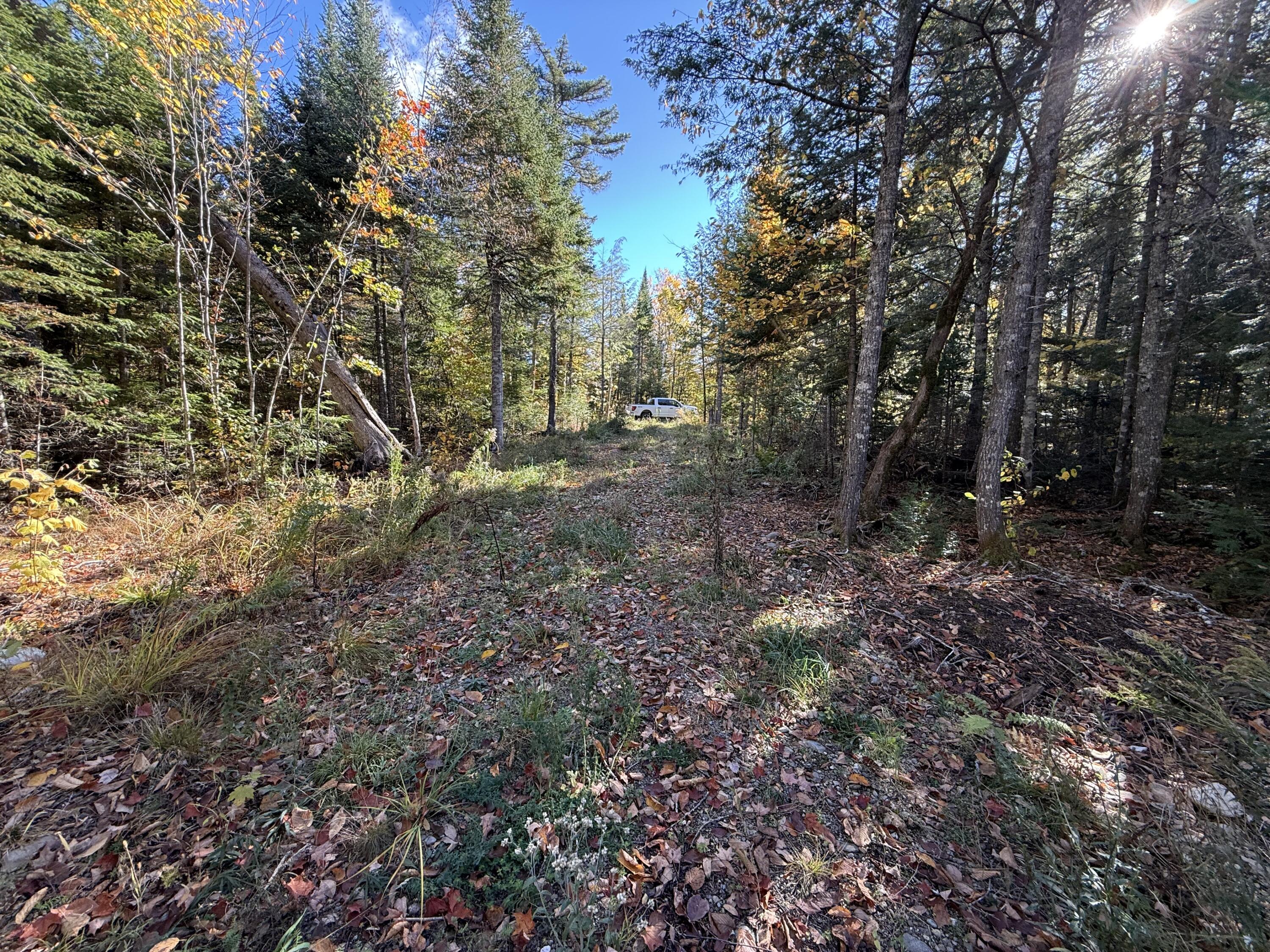 2 East Shore Road Wytopitlock, ME 04497 - Photo 7 of 16 IMG_8443