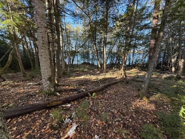 $150,000 | 2 East Shore Road, Wytopitlock, ME 04497