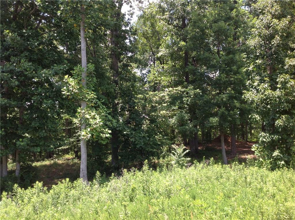 6895 Bragg Road Cumming, GA 30041 - Photo 1 of 1 Gallery Image 1