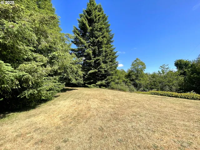 a view of an outdoor space and a yard