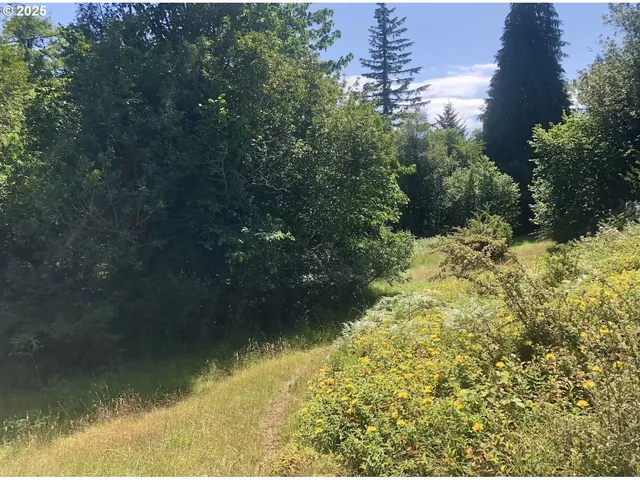 a view of outdoor space and yard