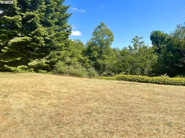 a backyard of a house with large trees