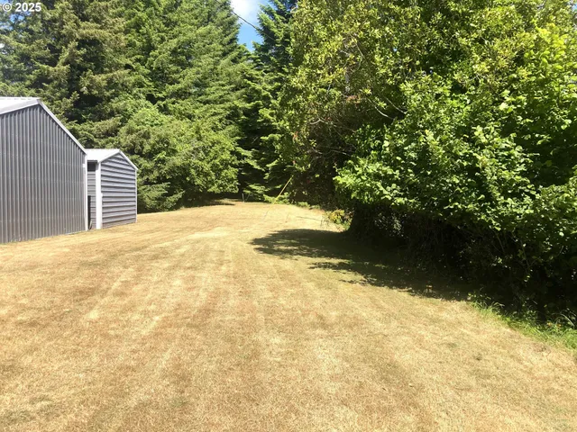 a view of a yard with large trees