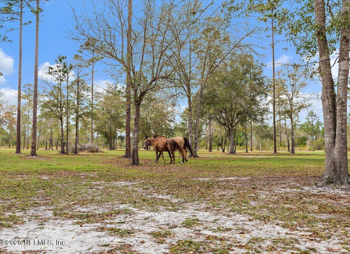 14394 Bob Burnsed Road Glen St. Mary, FL 32040 - Photo 43 of 53 a view of a park with large trees