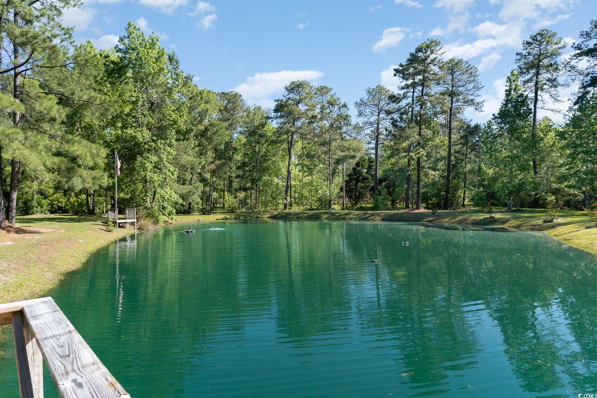 141 Old Country Road Longs, SC 29568 - Photo 26 of 29 Gallery Image 26