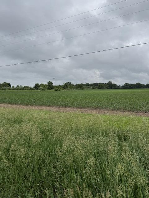 V/l Satterlee Road Greenville, MI 48838 - Photo 1 of 7 IMG_4733