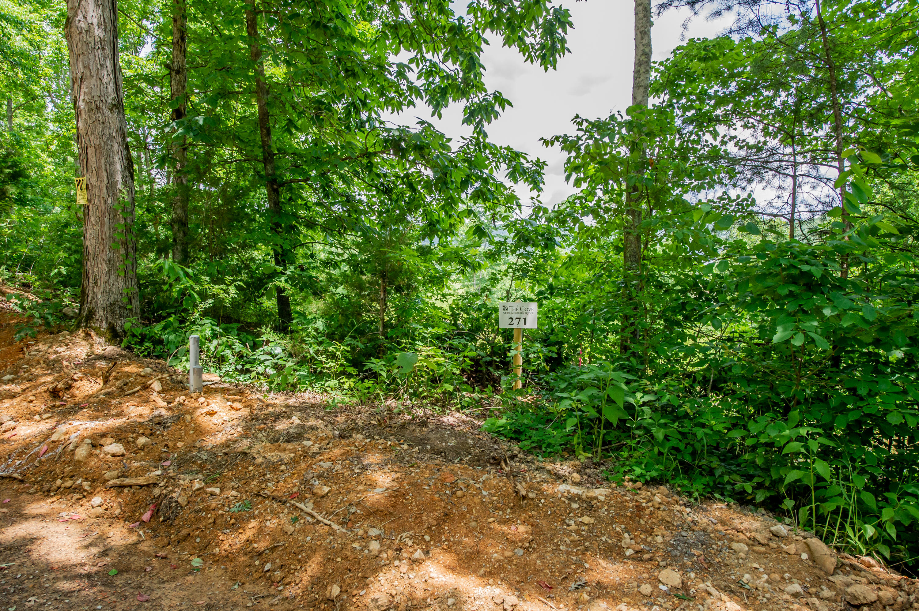 4580 Huffine Road Loudon, TN 37774 - Photo 1 of 14 lot 271 (1)