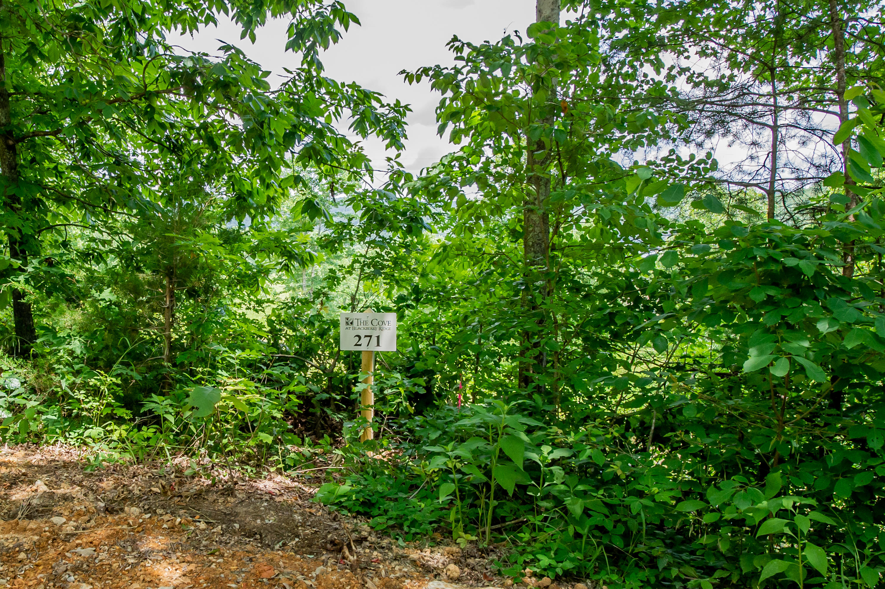 4580 Huffine Road Loudon, TN 37774 - Photo 2 of 14 lot 271 (2)