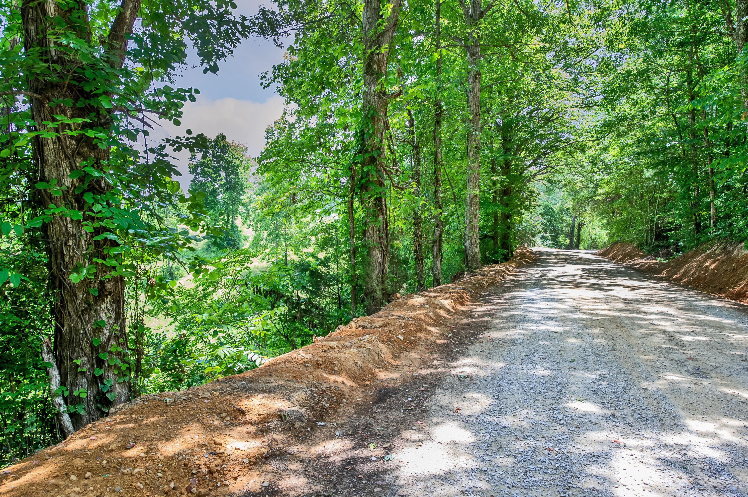4580 Huffine Road Loudon, TN 37774 - Photo 3 of 14 lot 271 (3)