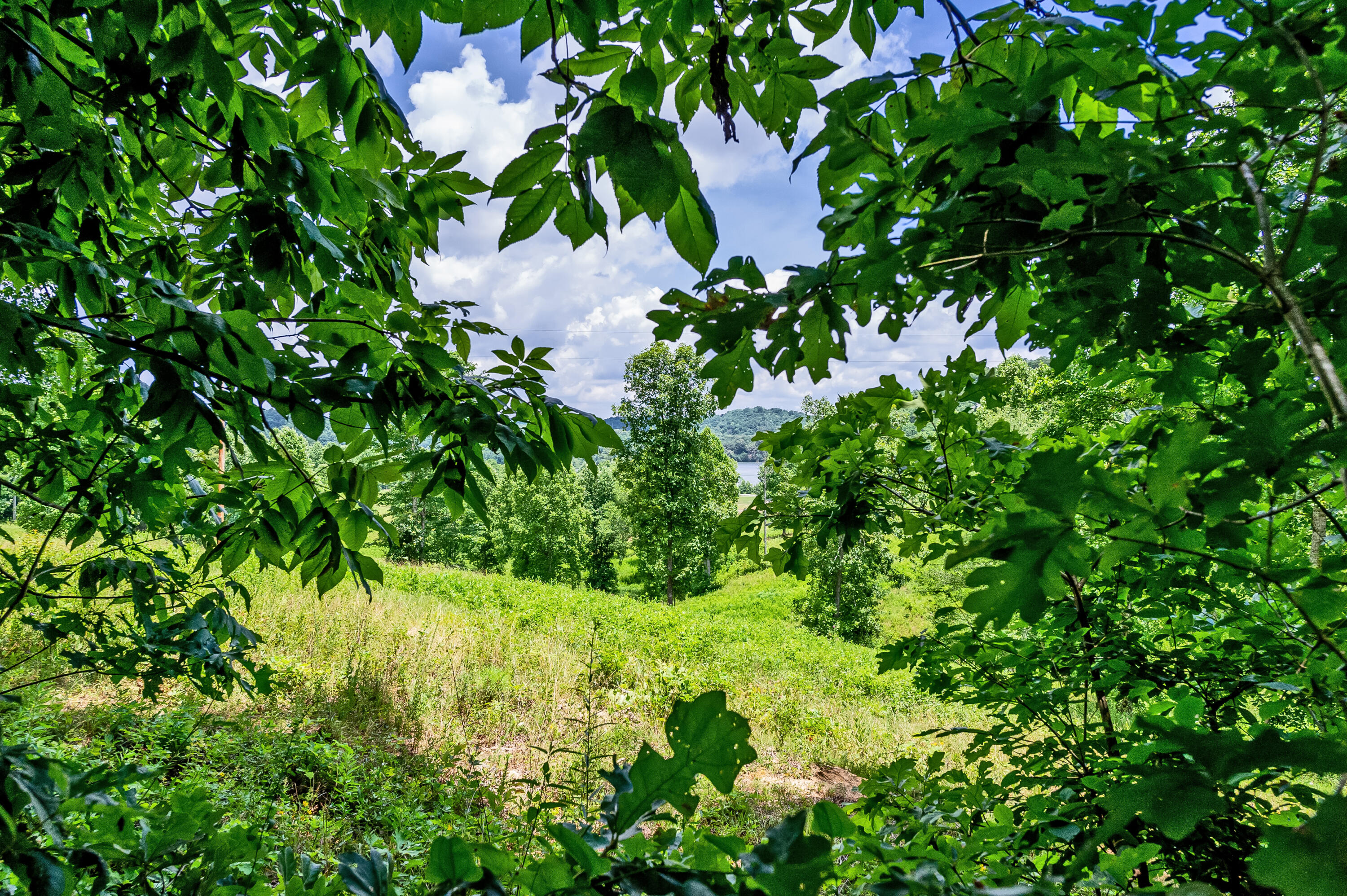 4580 Huffine Road Loudon, TN 37774 - Photo 4 of 14 lot 271 (4)