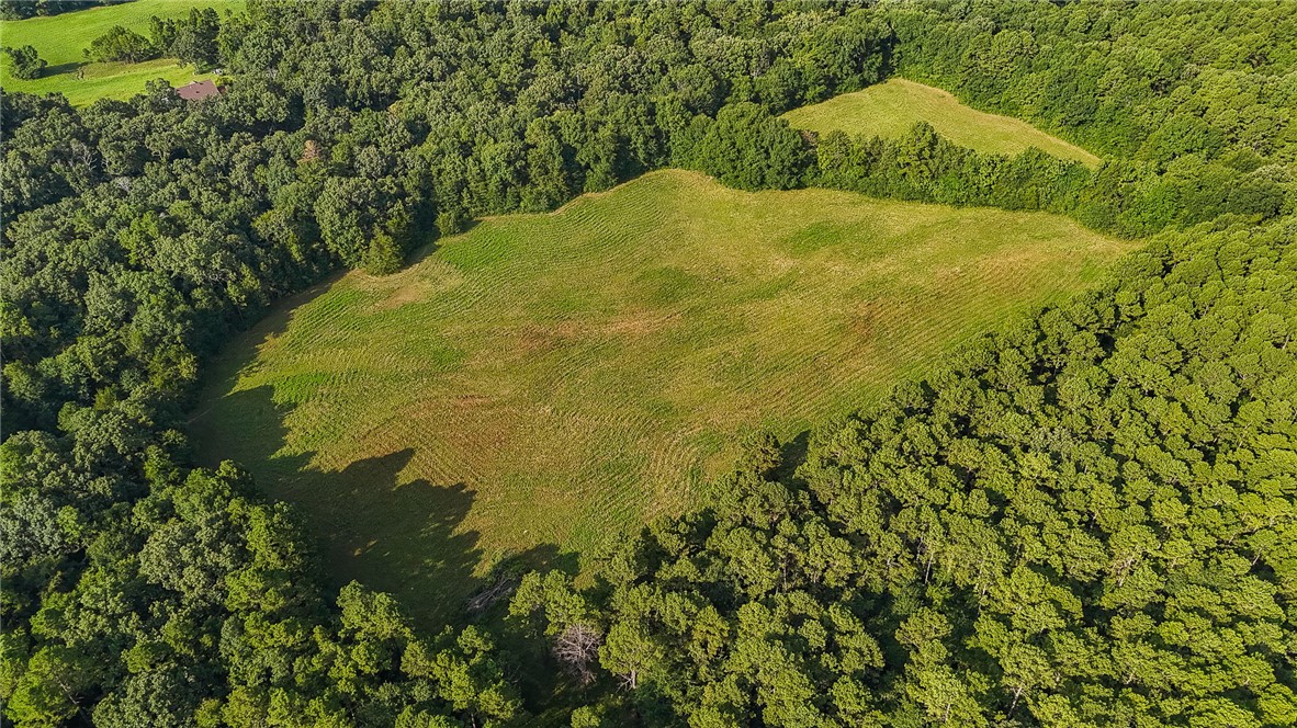 Square Rock Road Waldron, AR 72958 - Photo 4 of 16 Expansive cleared land surrounded by mature tree lines