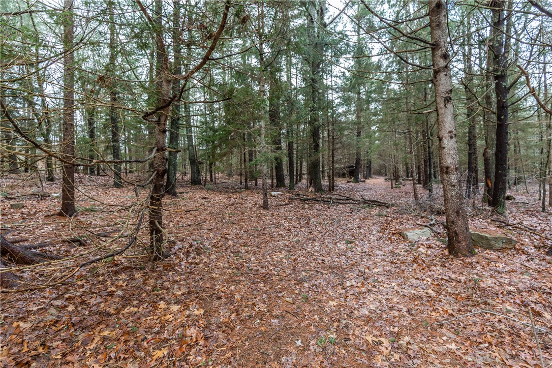 145 Whipple Road Burrillville, RI 02859 - Photo 40 of 41 Gallery Image 40