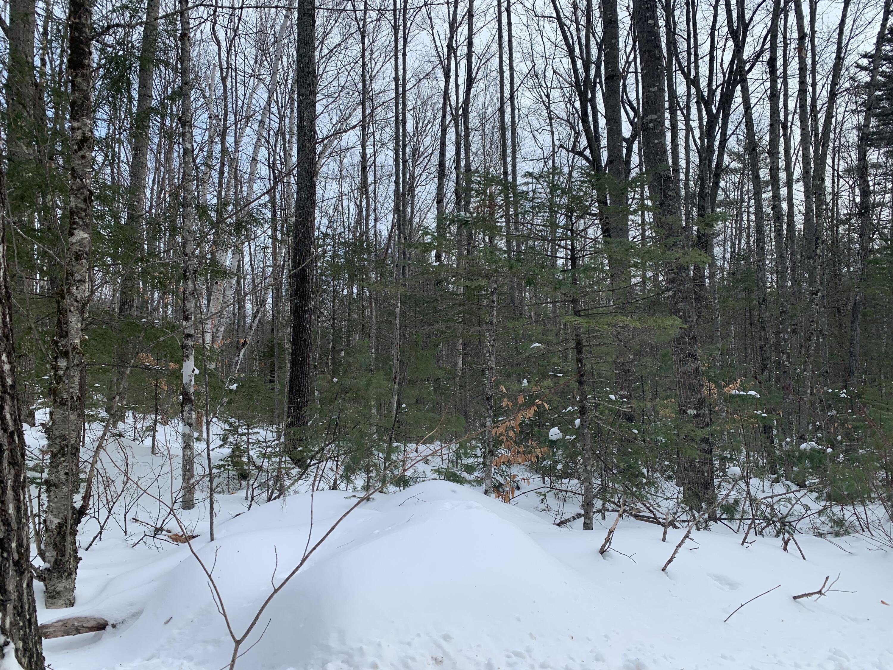 Tbd Chase Road Bethel, ME 04217 - Photo 2 of 7 IMG-3153