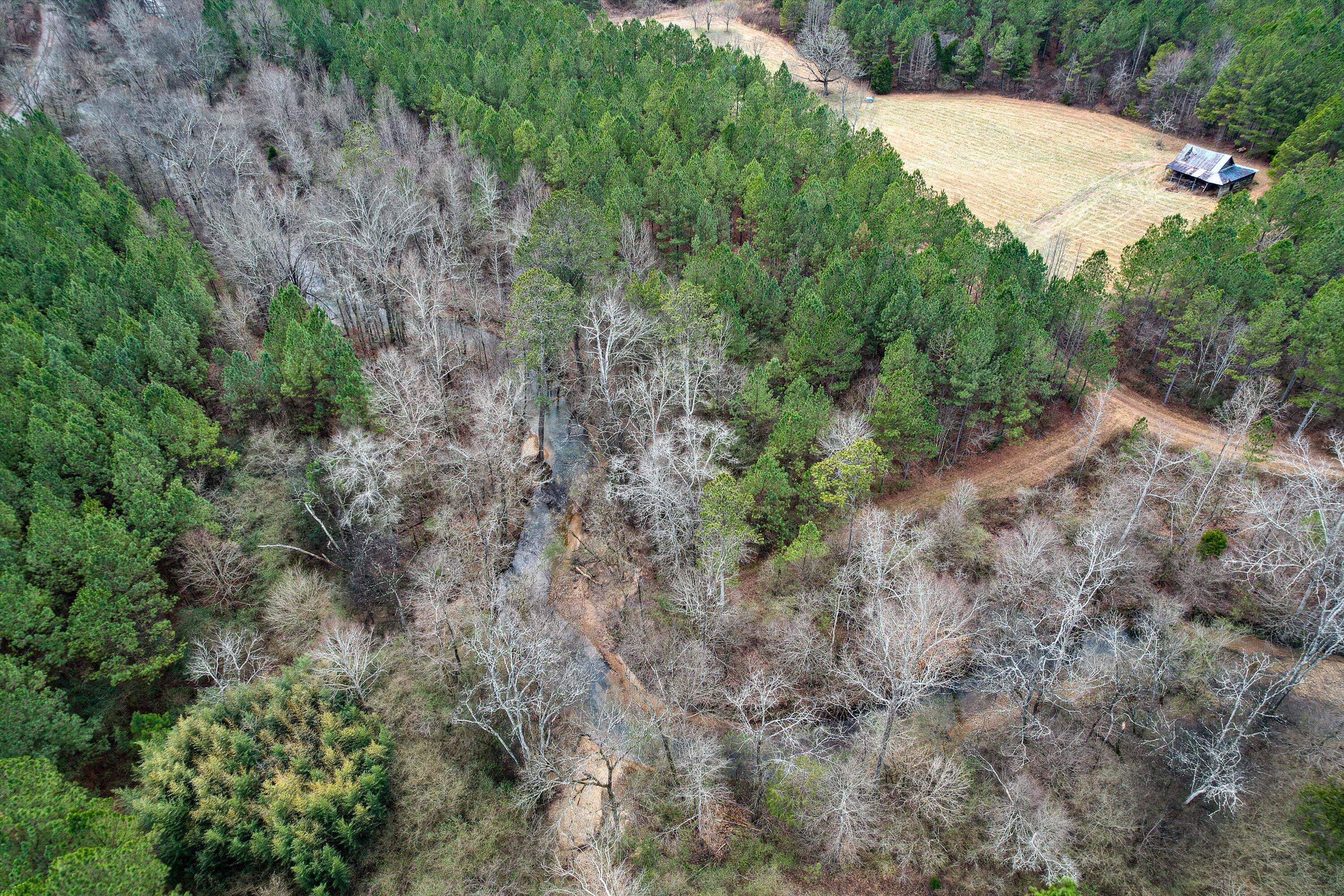 0 Henderson Road Trion, GA 30753 - Photo 19 of 34 19-0 Henderson Rd-19