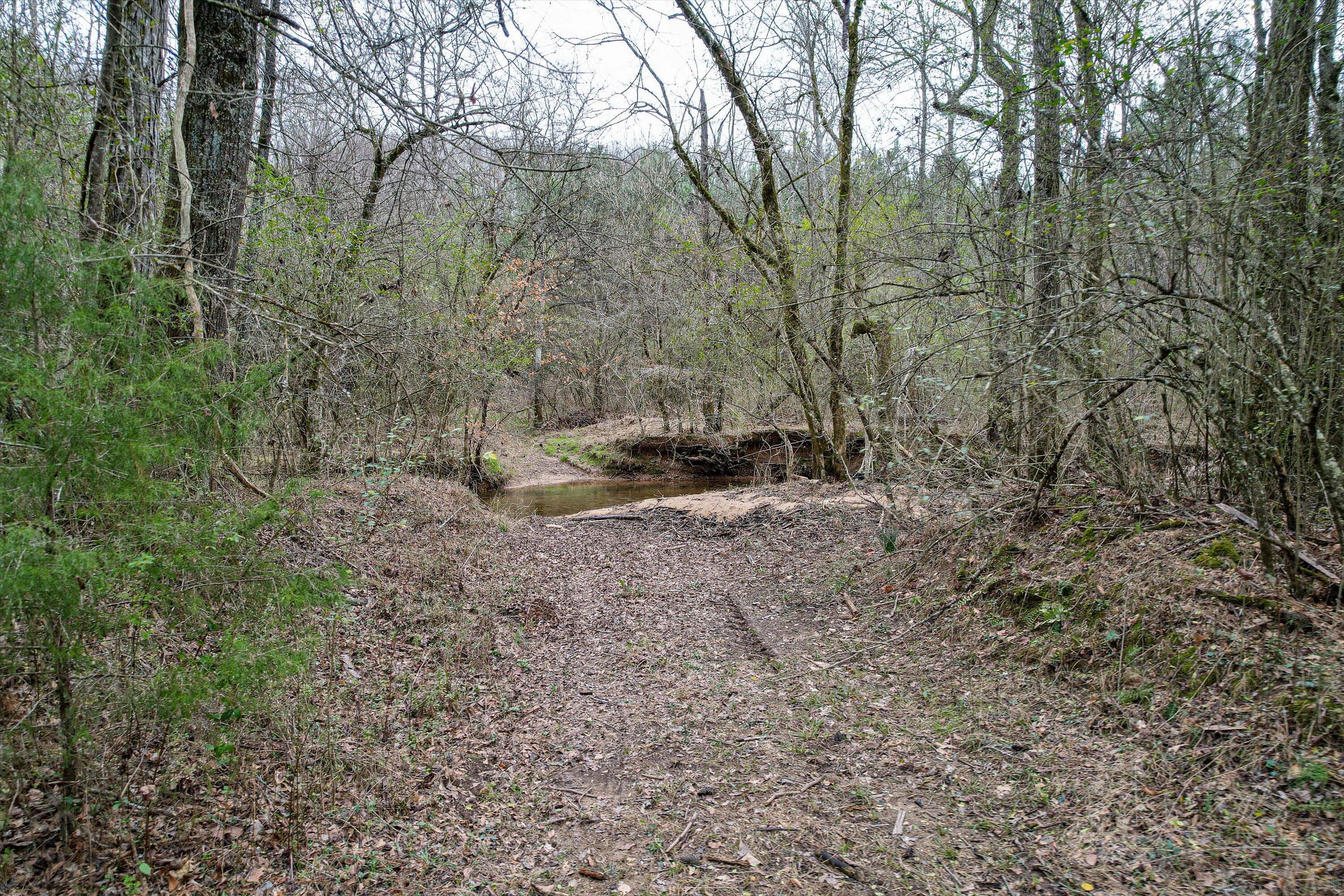 0 Henderson Road Trion, GA 30753 - Photo 21 of 34 21-0 Henderson Rd-21