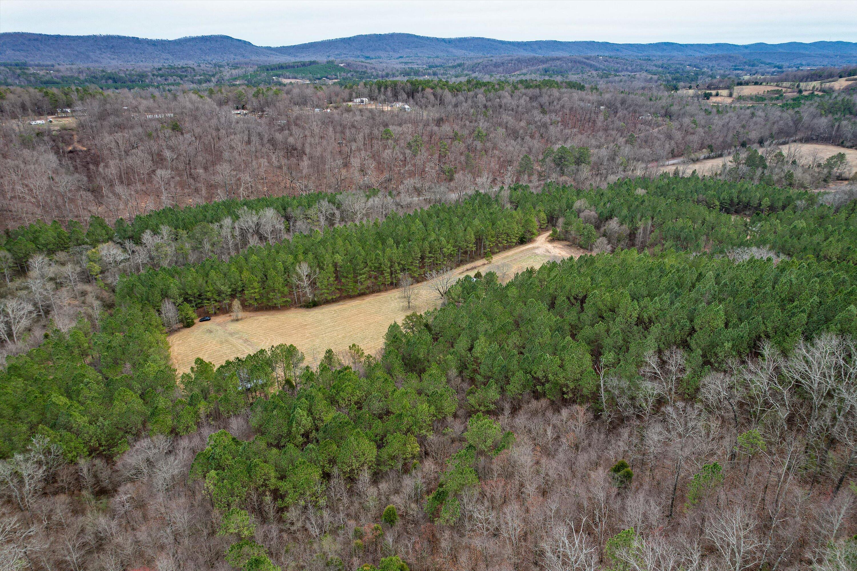 0 Henderson Road Trion, GA 30753 - Photo 23 of 34 24-0 Henderson Rd-24