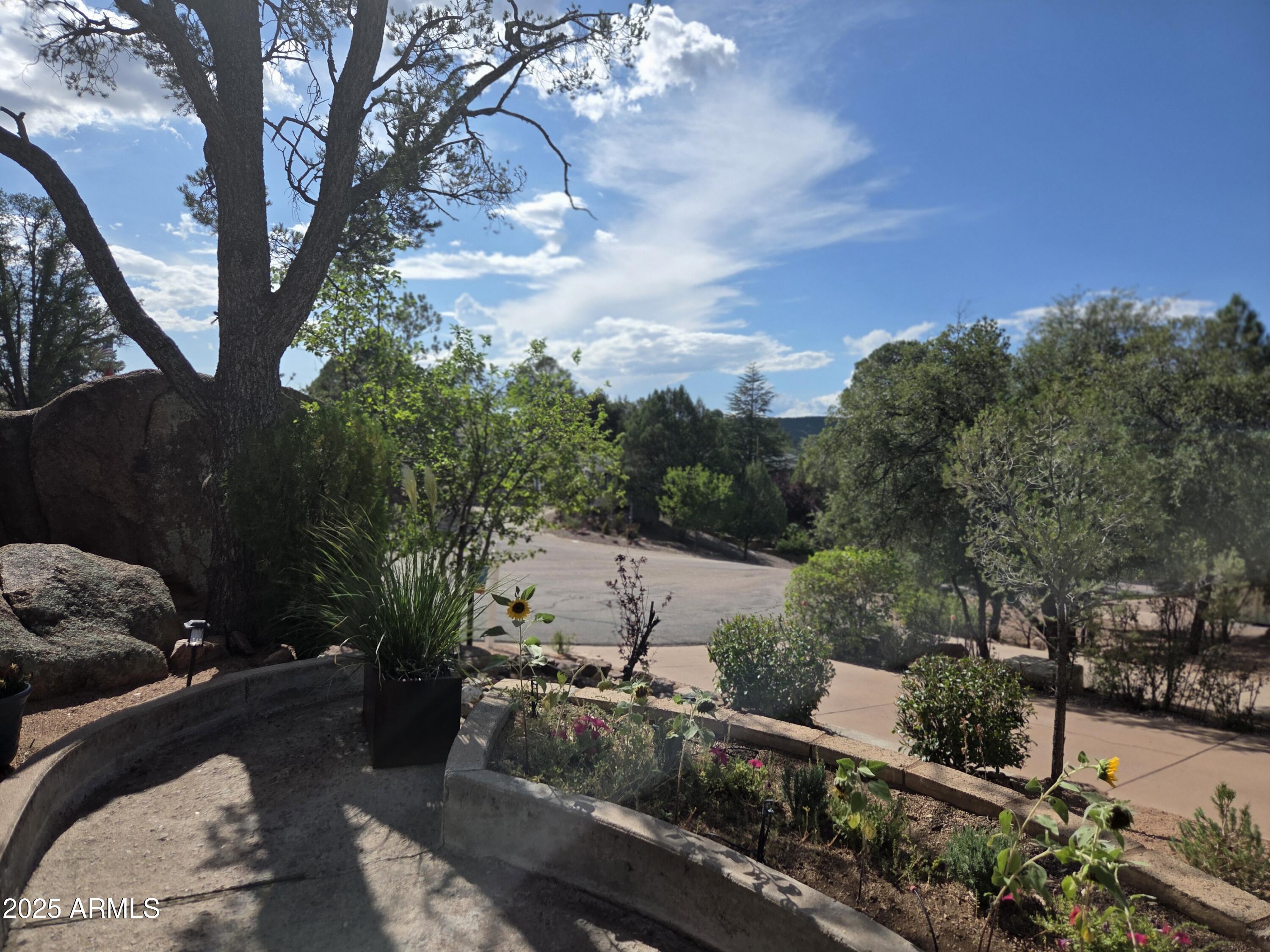 115 South Young Road Payson, AZ 85541 - Photo 3 of 34
