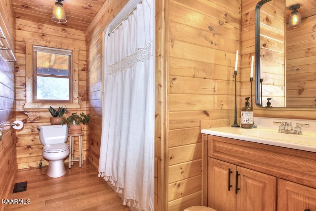 230 Lower Smithfield Road Tellico Plains, TN 37385 - Photo 2 of 35 Gallery Image 2