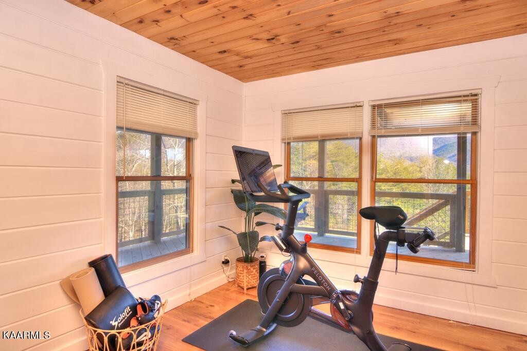 230 Lower Smithfield Road Tellico Plains, TN 37385 - Photo 34 of 35 Gallery Image 34