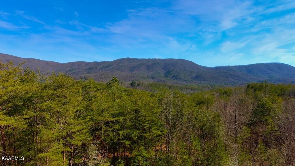 230 Lower Smithfield Road Tellico Plains, TN 37385 - Photo 7 of 35 Gallery Image 7