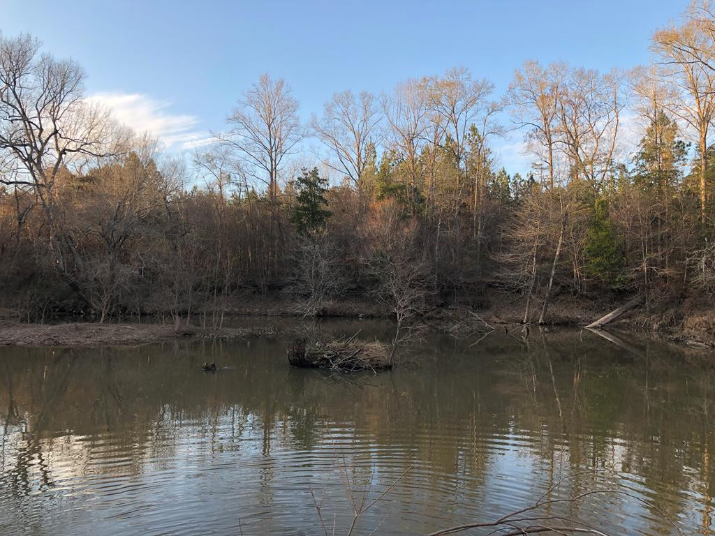 3056 B Brandi Road Summit, MS 39666 - Photo 20 of 22 Photo 20