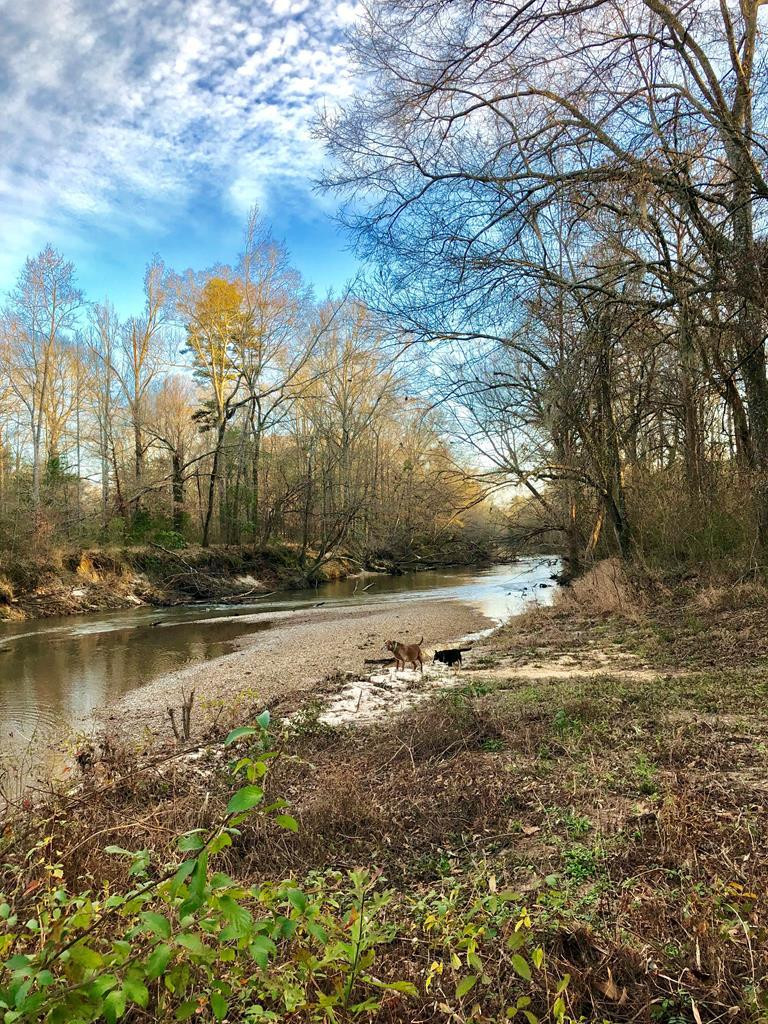 3056 B Brandi Road Summit, MS 39666 - Photo 2 of 22 Photo 2