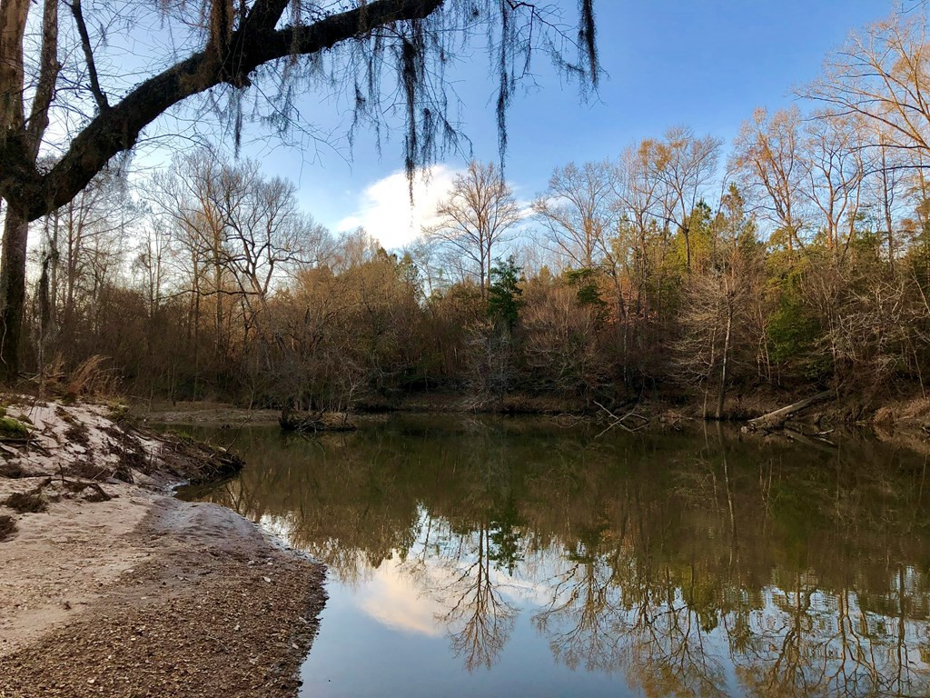 3056 B Brandi Road Summit, MS 39666 - Photo 21 of 22 Photo 21