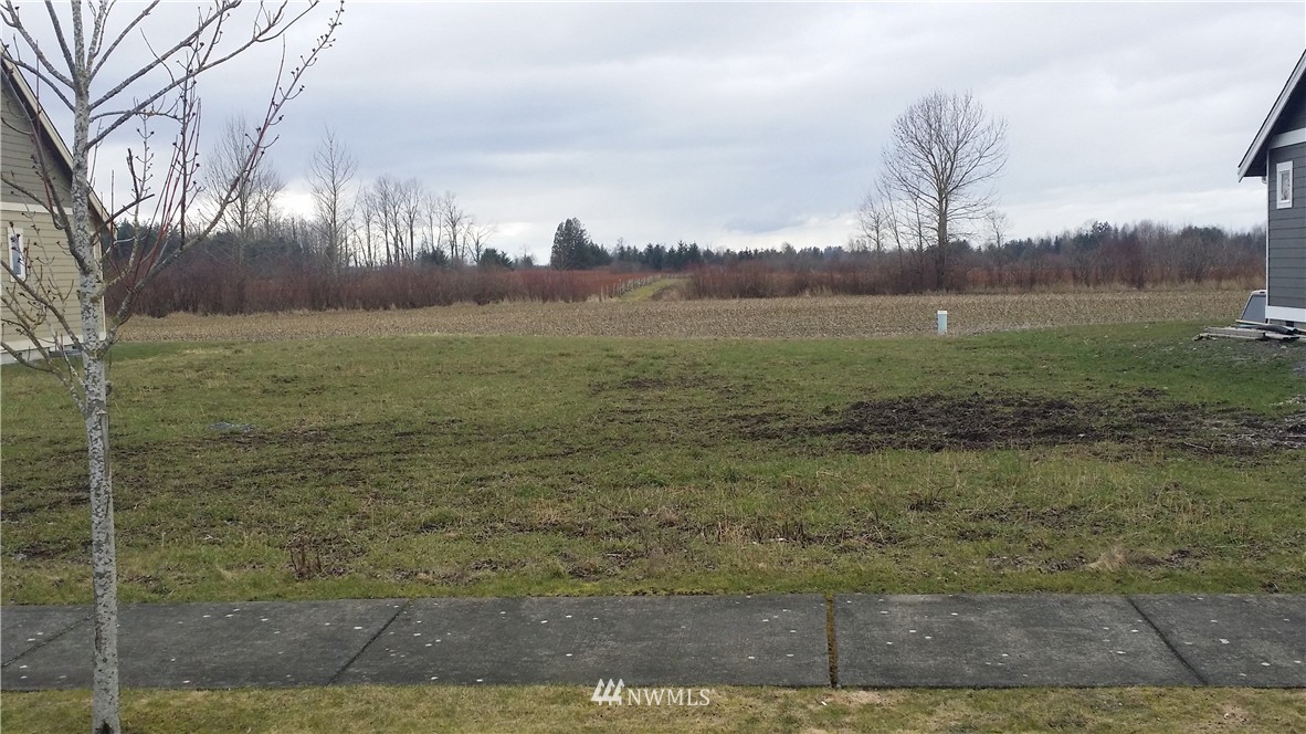 0 Red Maple Loop Everson, WA 98247 - Photo 2 of 4