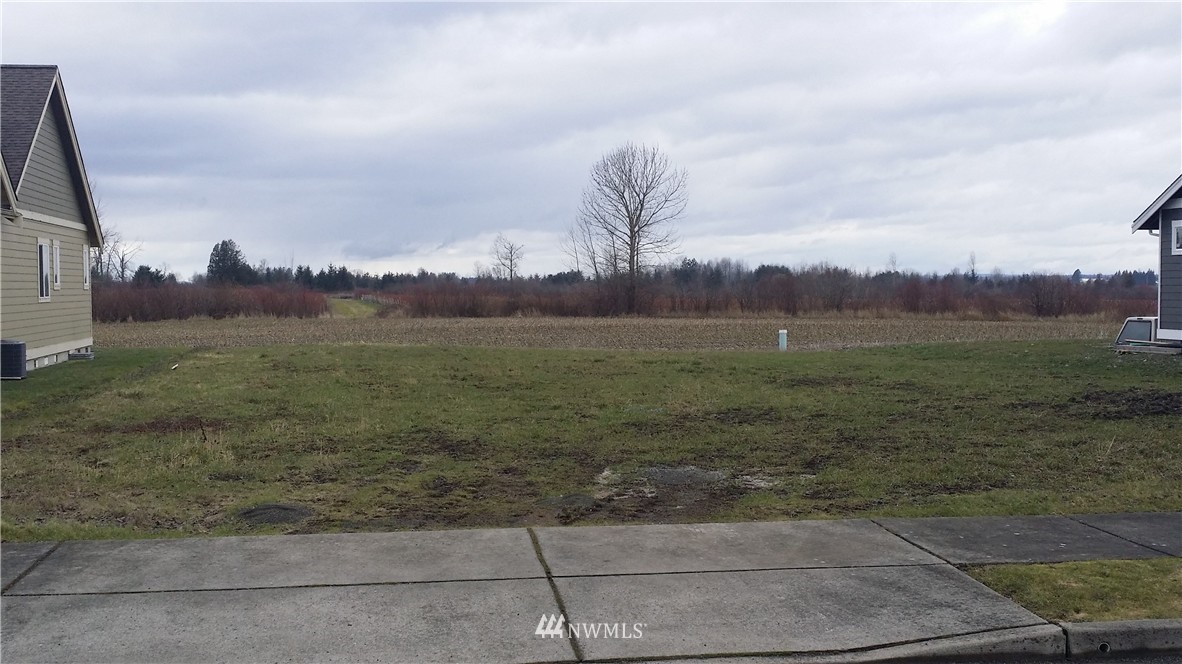 0 Red Maple Loop Everson, WA 98247 - Photo 4 of 4