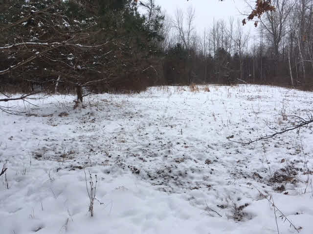 1731 Wieman Road Beaverton, MI 48612 - Photo 17 of 48