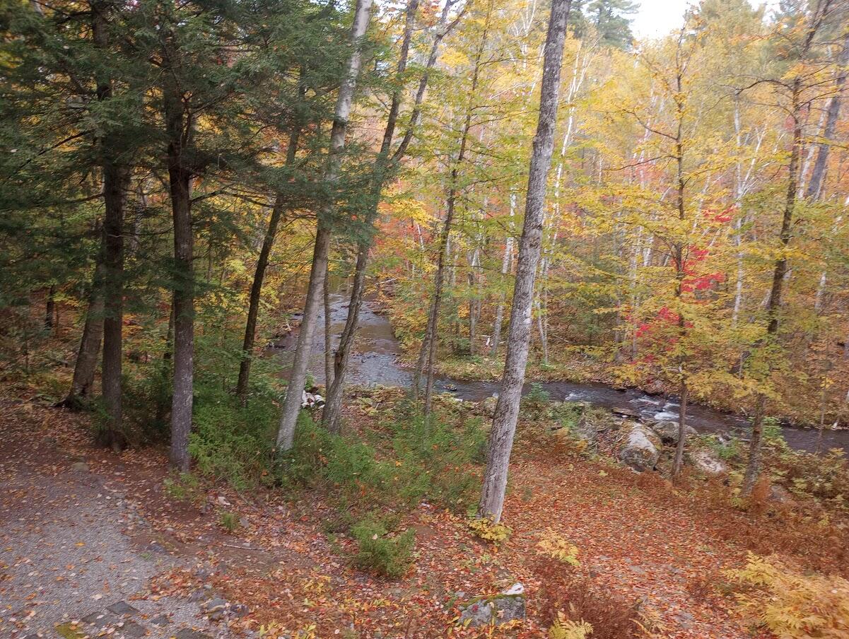 73 South Shore Road New Limerick, ME 04761 - Photo 41 of 44 IMG_20221007_100919292