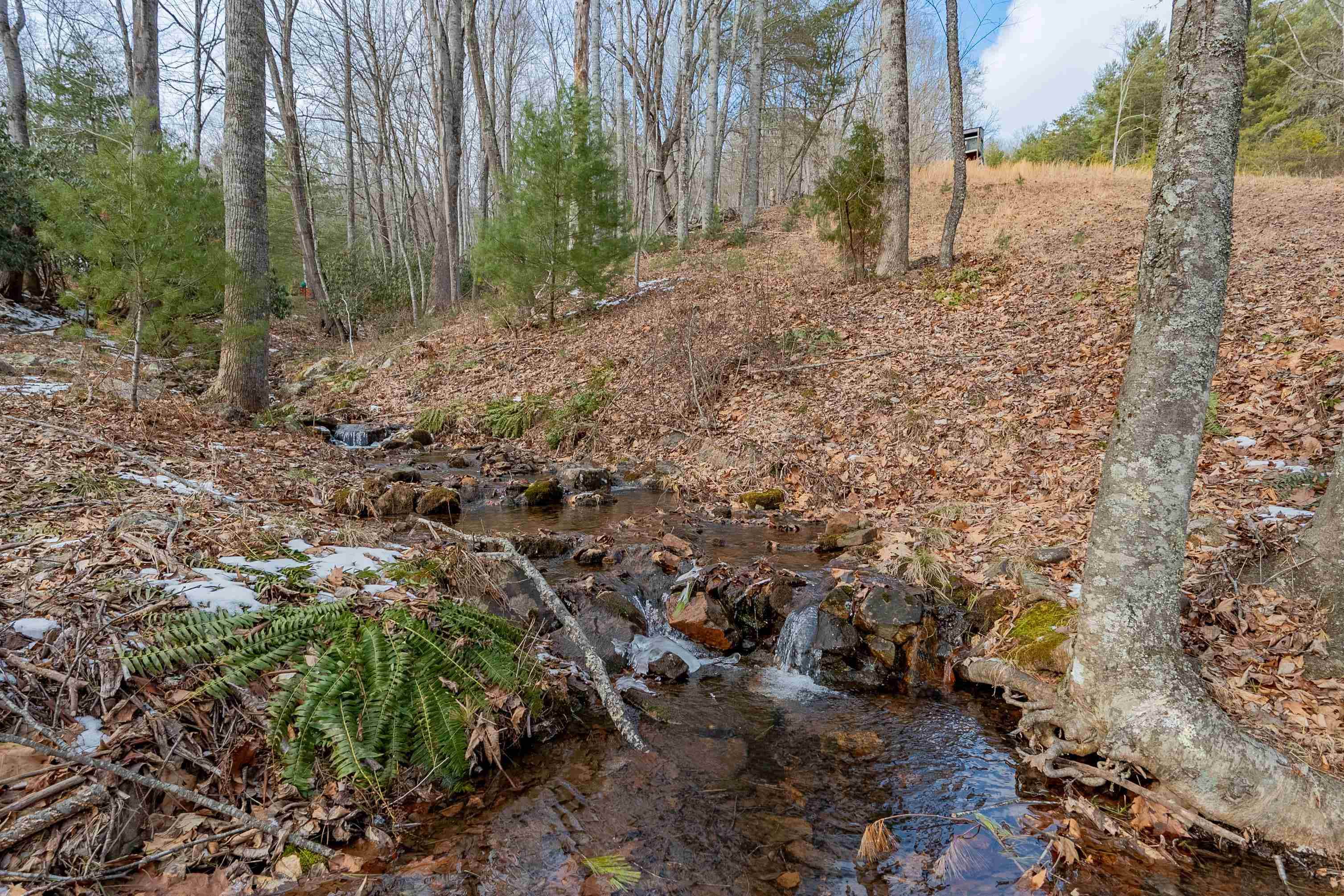 Tbd Spur Branch Road Dublin, VA 24084 - Photo 18 of 84 Gallery Image 18