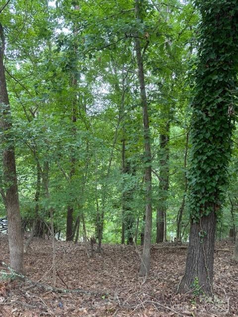 10045 Tepa Place Tega Cay, SC 29708 - Photo 1 of 2 Gallery Image 1