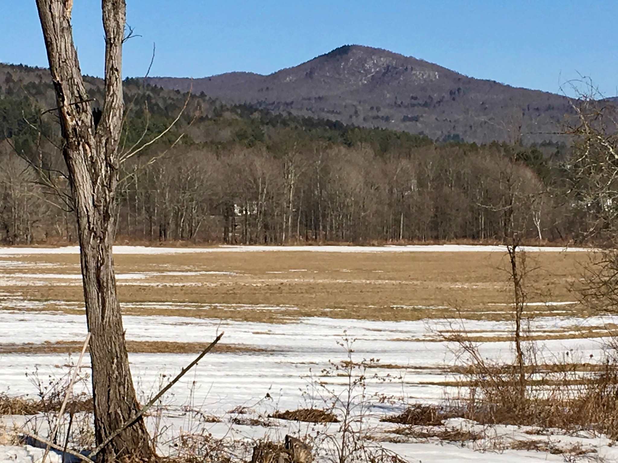 1283 N Road Waitsfield, VT 05673 - Photo 2 of 13