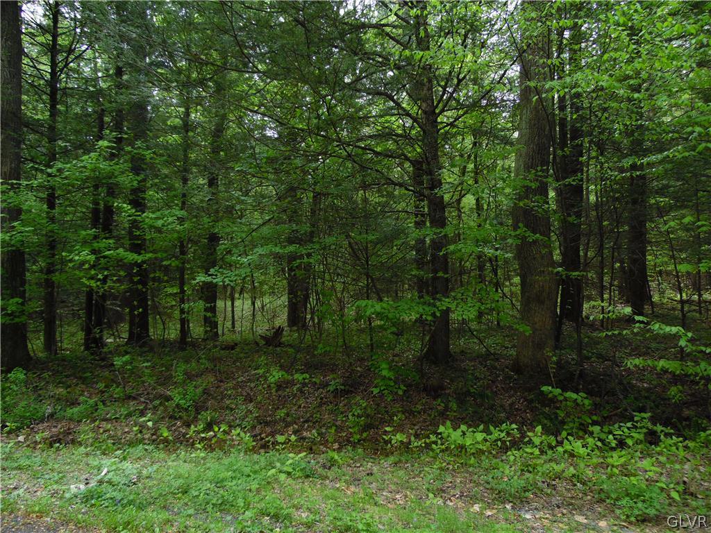 443 Pine Swamp Road Kempton, PA 19529 - Photo 15 of 16 Gallery Image 15