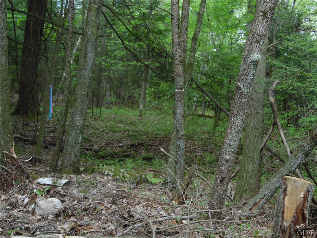 443 Pine Swamp Road Kempton, PA 19529 - Photo 10 of 16 Gallery Image 10
