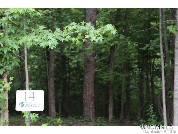 Lot 14 Rambling Creek Road, Unit 14 Tryon, NC 28782 - Photo 1 of 10